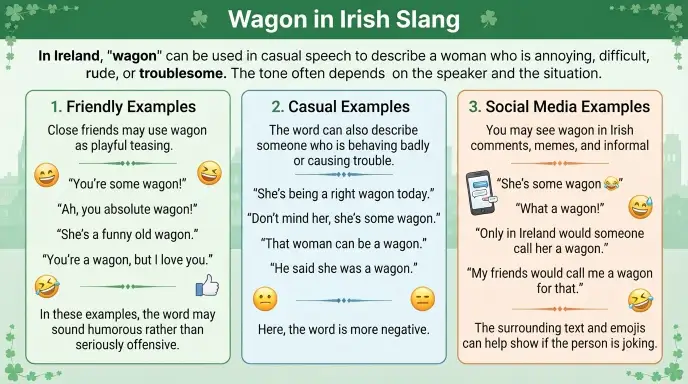 Real-Life Examples of Wagon in Irish Slang