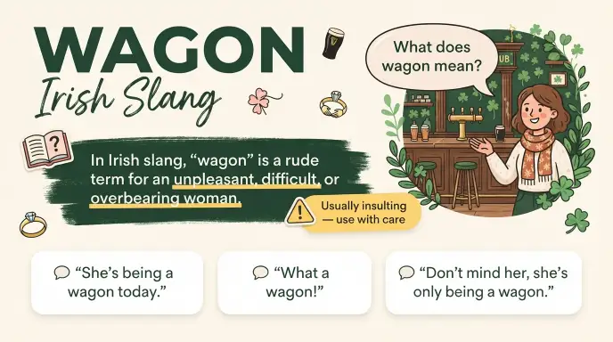 Wagon Irish Slang