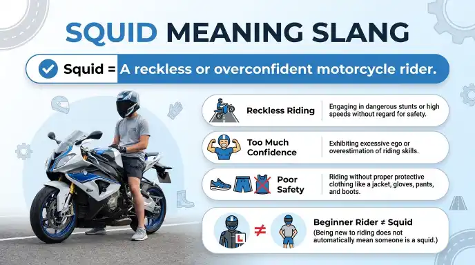 Squid Meaning Slang