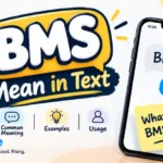 BMS Mean in Text