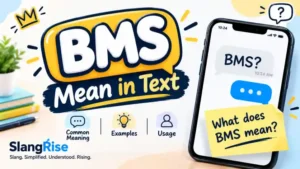 BMS Mean in Text