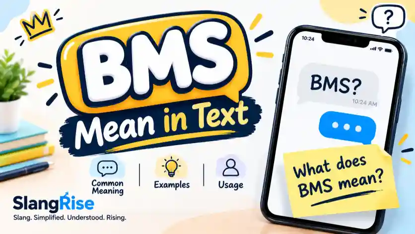 BMS Mean in Text